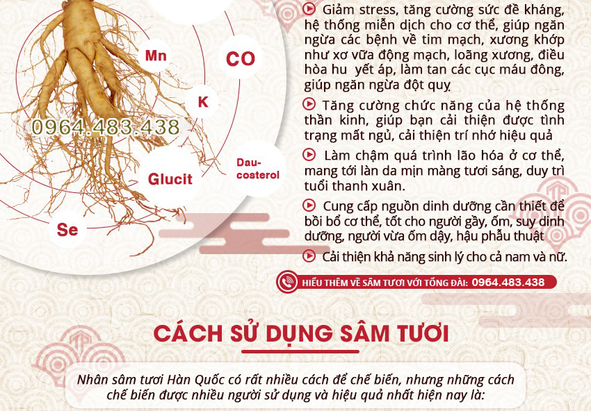 03-gioi-thieu-cong-dung-cach-dung-sam-tuoi-han-quoc-3.png